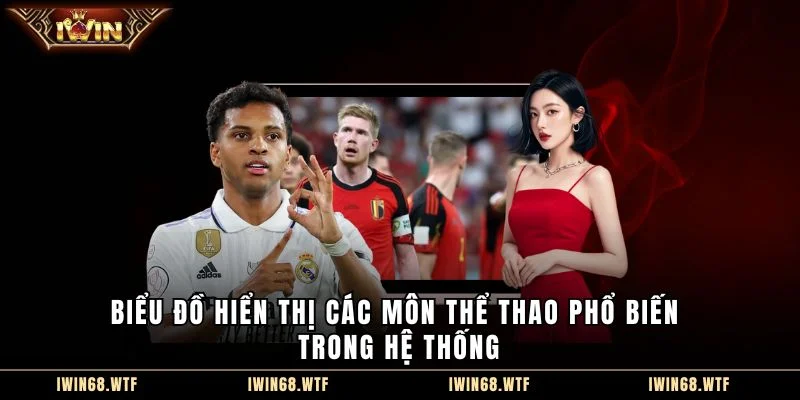 Biểu đồ hiển thị các môn thể thao phổ biến trong hệ thống