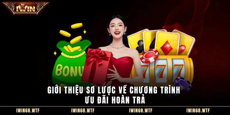 Giới thiệu sơ lược về chương trình ưu đãi hoàn trả